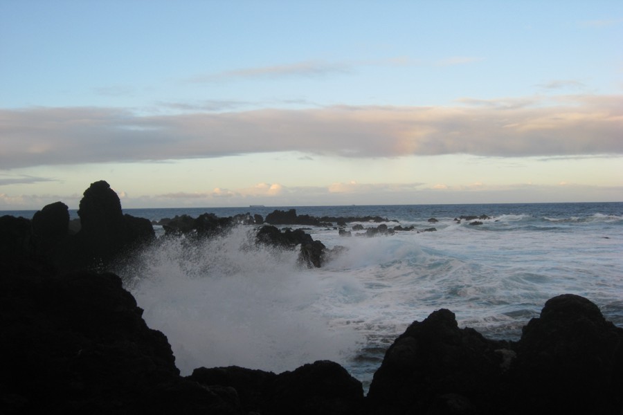 ../image/laupahoehoe point 6.jpg